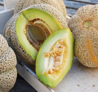 Try Heirloom Seeds for Growing Cantaloupe Image
